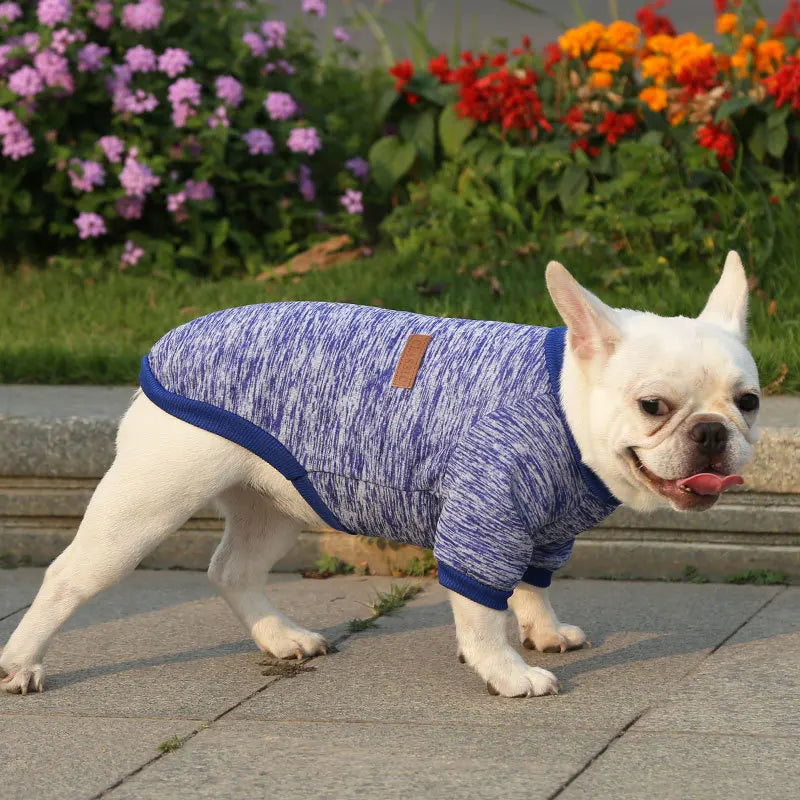 roupa para cachorros,muito macia  confortavel e muito quentinha,nao deixe seu cachorrinho passar frio...